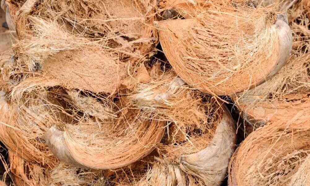 Peluang Usaha Pupuk dari Sabut Kelapa yang Hasilkan Jutaan