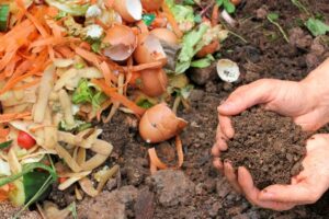 Pupuk Organik Dari Sampah Rumah Tangga Alami