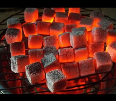 Coconut charcoal briquettes for zero-waste grilling