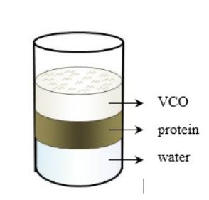 vco dengan fermentasi