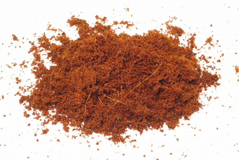 cara membuat cocopeat