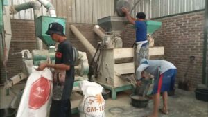 peluang usaha penggilingan padi