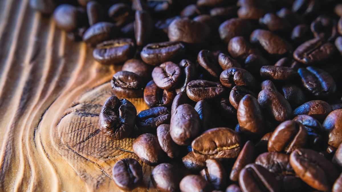 Cara Memilih Biji Kopi
