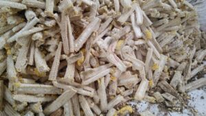 fermentasi batang jagung