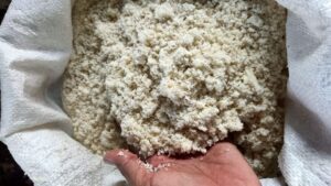 fermentasi pakan tahu