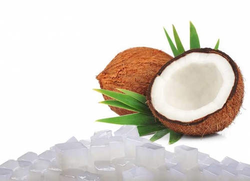 cara memulai bisnis nata de coco
