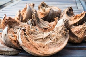 penggunaan sabut kelapa dalam sistem bioretensi air hujan
