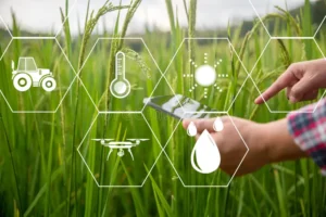 penerapan sistem keamanan pangan digital