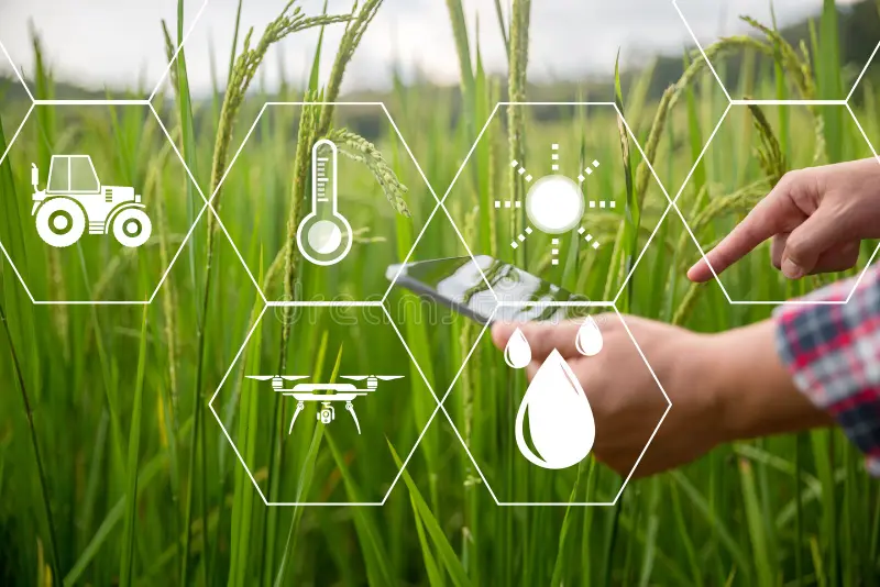 penerapan sistem keamanan pangan digital