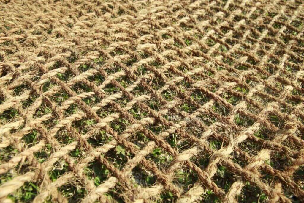 Cocomesh untuk Program Riset Eco-Innovation