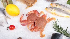 cara menjaga kualitas makanan beku
