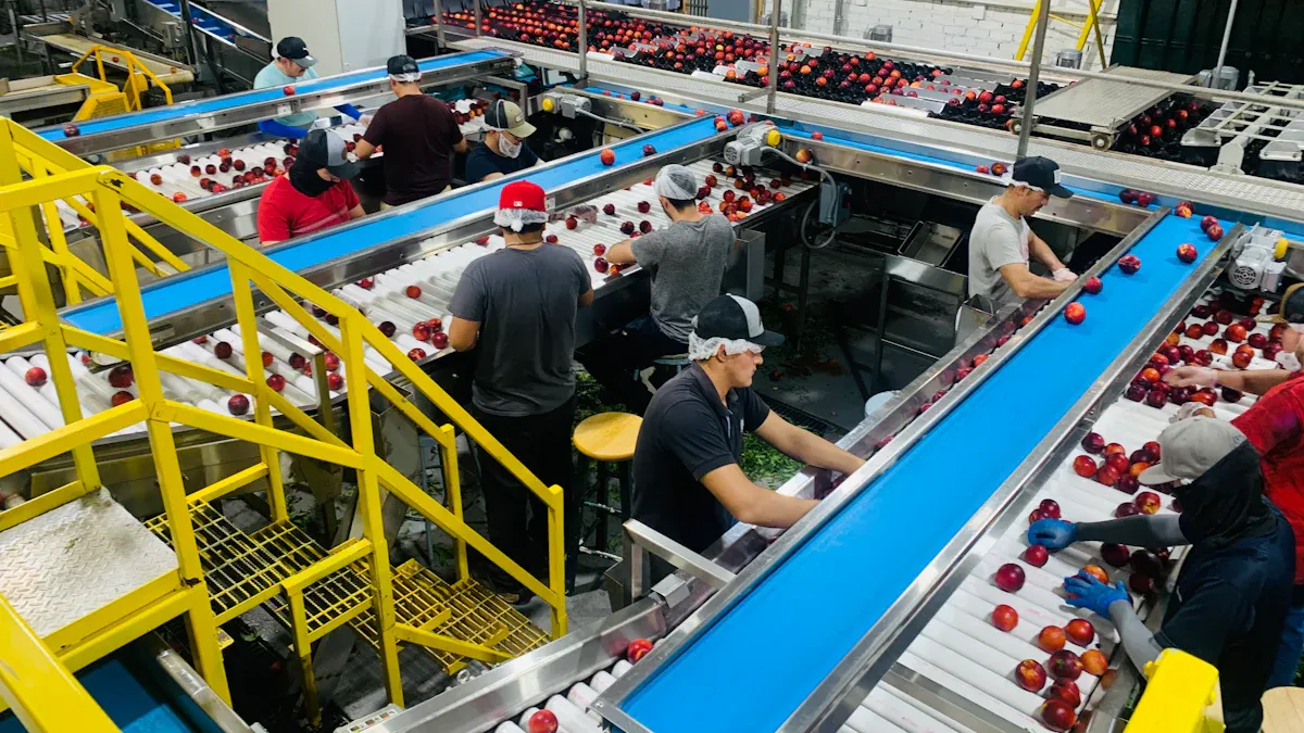 Analisis Kebutuhan Bahan Harian Akurat Mendalam