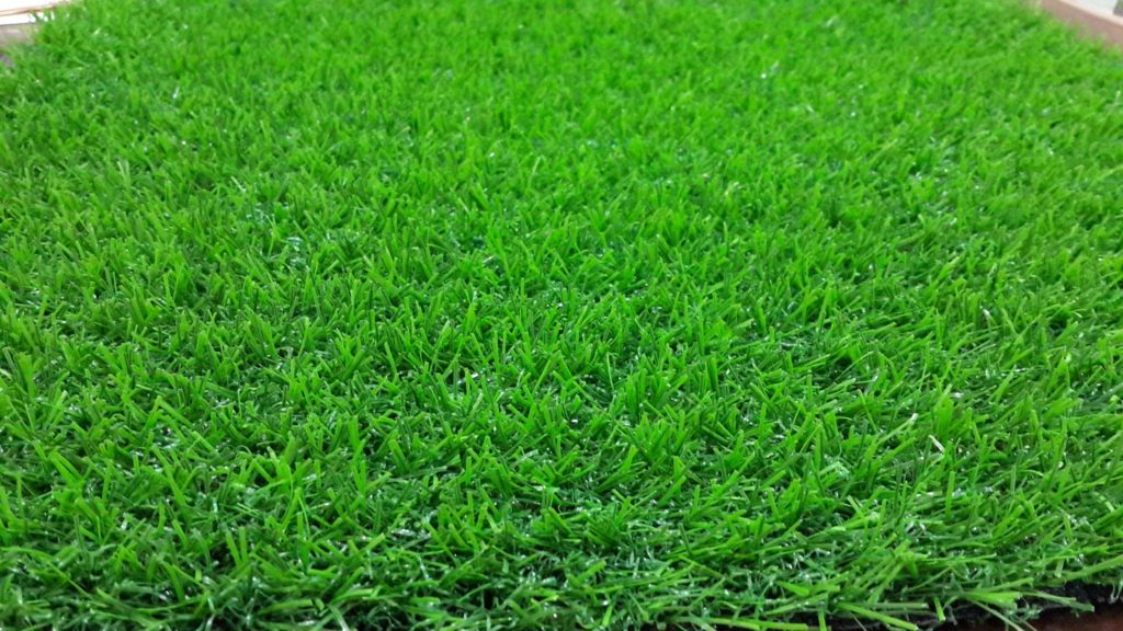 pakan rumput hijau stabil