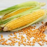 Manfaat Pemipil Jagung bagi Petani