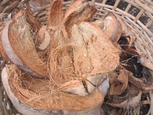 Diversifikasi Produk Berbasis Kelapa