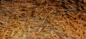 Cocomesh Serat Kelapa