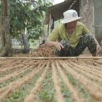 Pemanfaatan Jaring Sabut Kelapa