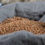 Cara Merawat Mesin Pembuat Pelet