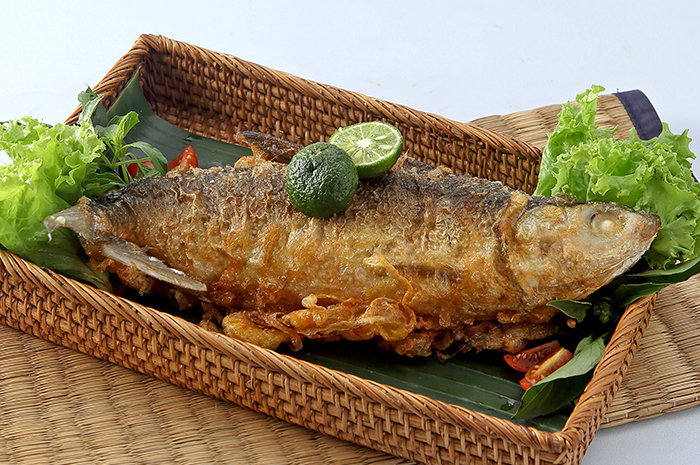 Cara Memasak Bandeng Presto Tulang Lunak Yang Gurih