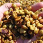 Cara Mempercepat Proses Pascapanen Kopi Agar Lebih Efisien