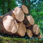 cara mempercepat cacah kayu