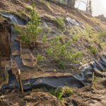 metode bioengineering tanah