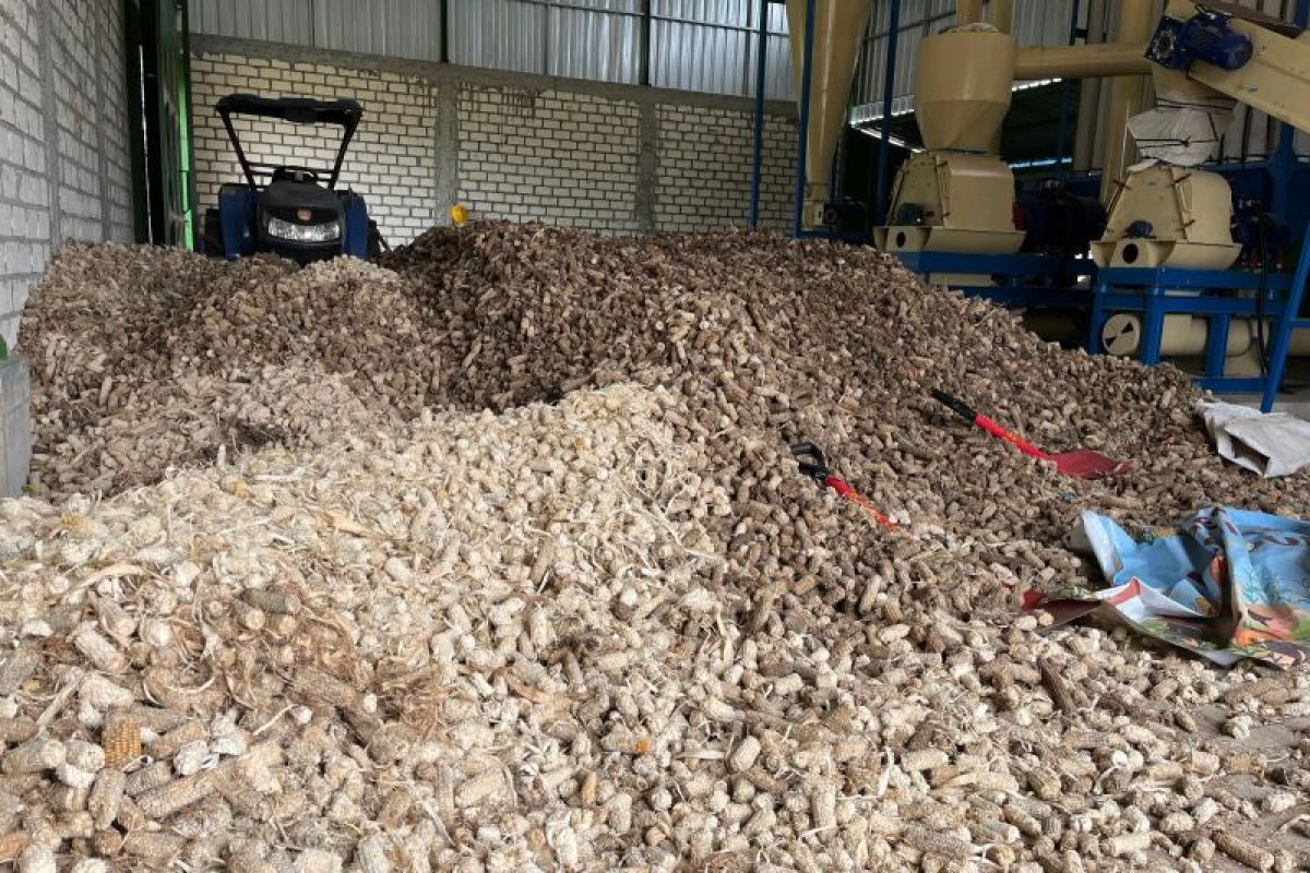 Solusi Giling Limbah Jagung Kapasitas Besar Untuk Produksi Lebih Efisien