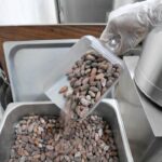 Tahapan Produksi Coklat Dari Kakao Untuk Usaha Modern
