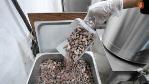Tahapan Produksi Coklat Dari Kakao Untuk Usaha Modern