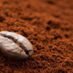cara menjaga aroma bubuk kopi