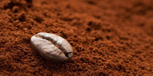 cara menjaga aroma bubuk kopi