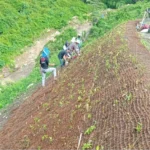 cocomesh-solusi-stabilisasi-lereng-proyek