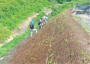 cocomesh-solusi-stabilisasi-lereng-proyek