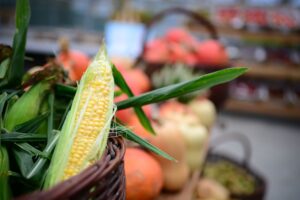 jenis jagung konsumsi